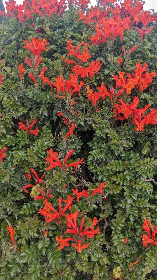 Апартаменти P.Gardens 103 Пейя Екстер'єр фото